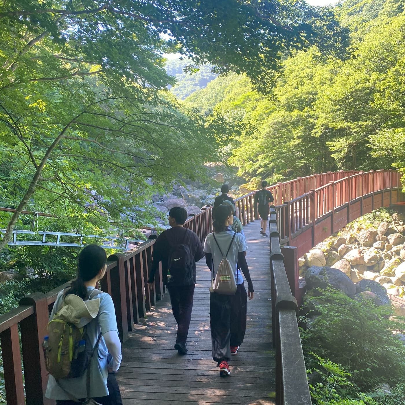 제 3회 피지컬 랩 한라산 (윗새오름) 등반 사진 3